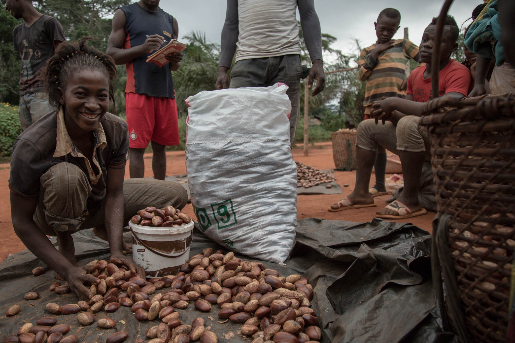 Analyse transversale des facteurs qui entravent la commercialisation des Produits  Forestiers Non Ligneux (PFNL) en zone forestière Camerounaise.